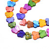 Dyed Natural Freshwater Shell Beads Strands SHEL-T009-B18-3