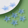 Transparent Acrylic Beads MACR-S373-127-D04-3