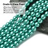 Eco-Friendly Dyed Glass Pearl Round Beads Strands HY-A008-8mm-RB073-3