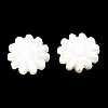 Natural Trochid Shell/Trochus Shell Beads SSHEL-R145-01-3