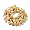 Natural Trochus Shell Beads Strands SHEL-K006-18D-2