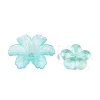 Transparent Acrylic Beads OACR-H039-04G-2