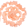 Chiffon Organza Pleated Lace Trim DIY-WH0892-01B-1