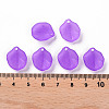 Transparent Frosted Acrylic Pendants MACR-S371-02A-747-4