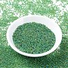 MIYUKI Round Rocailles Beads SEED-JP0008-RR0341-2