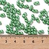Glass Seed Beads SEED-L011-04A-01-4