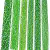 Electroplate Glass Beads Strands EGLA-A044-T6mm-L11-2