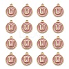 Golden Plated Alloy Enamel Charms LS-ENAM-S118-07U-2
