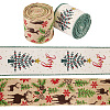 10 Yards 2 Colors Christmas Theme Jute Cord OCOR-TA0002-09B-2