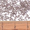 MIYUKI Delica Beads X-SEED-J020-DB1061-4