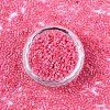 FGB 11/0 Grade A Glass Seed Beads SEED-S030-1144-3