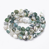 Natural Tree Agate Beads Strands G-S332-6mm-010-3