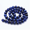 Natural Tiger Eye Beads Strands X-G-F561-10mm-B02-2