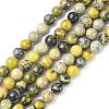 Gemstone Beads Strands GSR4mmC007-1