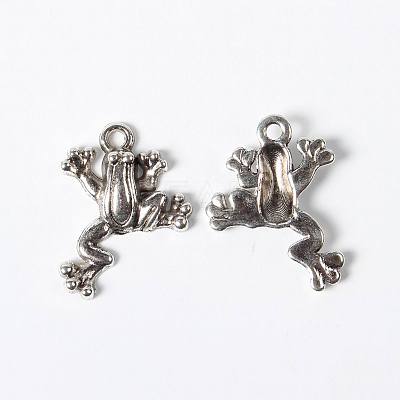 Alloy Pendants LS-EJ10254-1