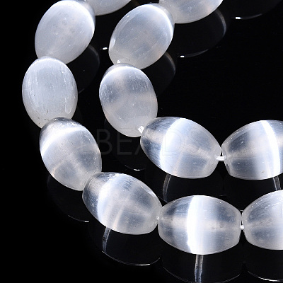 Dyed Natural Selenite Beads Strands G-T138-232A-1