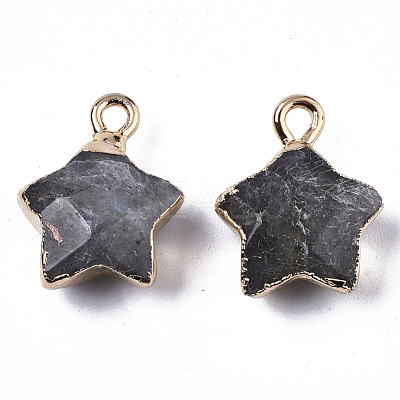 Natural Labradorite Pendants X-G-N326-36B-1