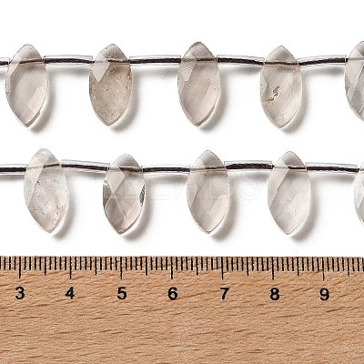 Natural Smoky Quartz Beads Strands G-P607-A10-01-1