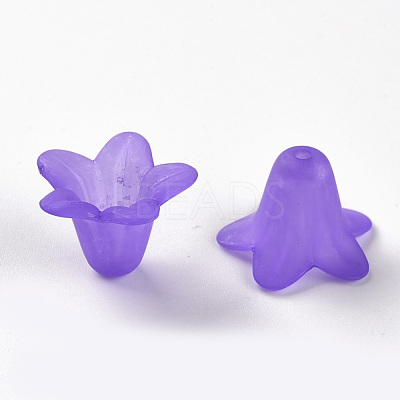 Transparent Acrylic Beads PLF018-15-1