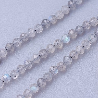 Natural Labradorite Beads Strands LS-G-F619-15-3mm-1