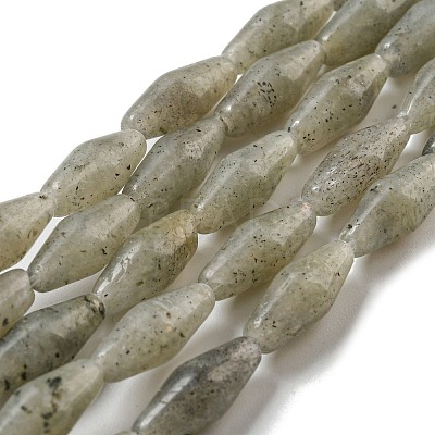 Natural Labradorite Beads Strands G-A223-A04-01-1