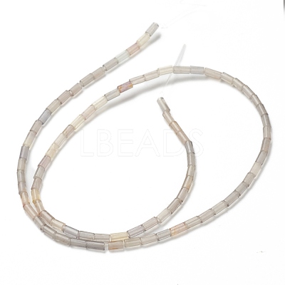 Natural Fluorite Beads Strands G-B004-A29-1