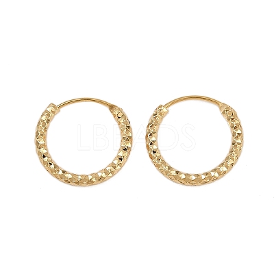 Brass Textured Hoop Earrings EJEW-F378-03B-G-1