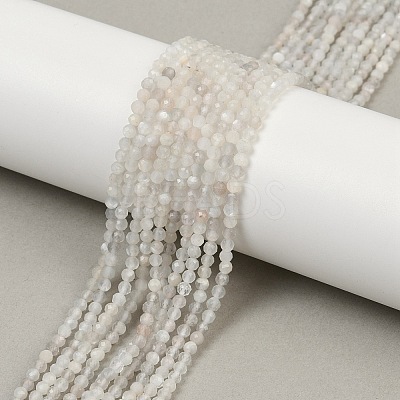 Natural White Moonstone Beads Strands G-D304-01-2.5mm-1