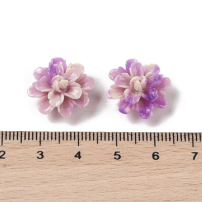 Synthetic Shell Dyed Beads SHEL-C006-01C-1