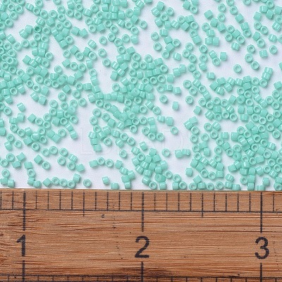 MIYUKI Delica Beads X-SEED-J020-DB2122-1