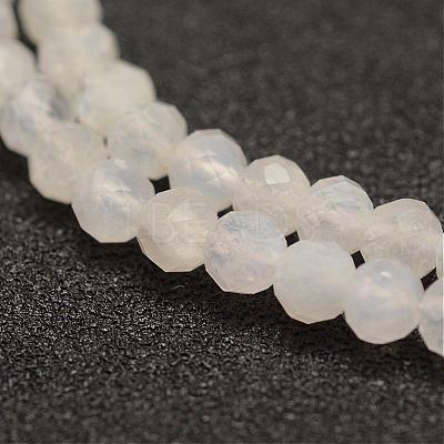 Natural Rainbow Moonstone Beads  Strands G-F460-23-1
