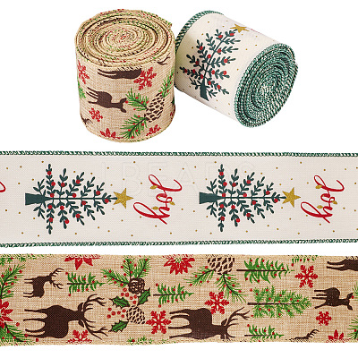 10 Yards 2 Colors Christmas Theme Jute Cord OCOR-TA0002-09B-1