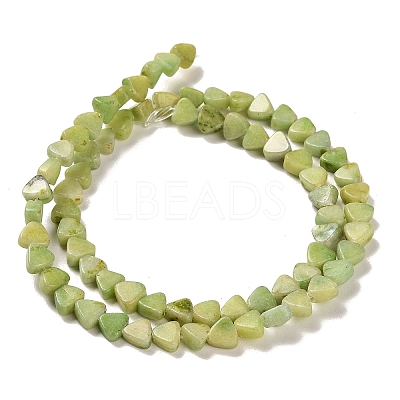 Natural Dolomite Beads Strands G-F765-H04-01-1