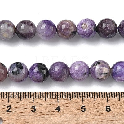 Natural Charoite Beads Strands G-C270-O02-05-1