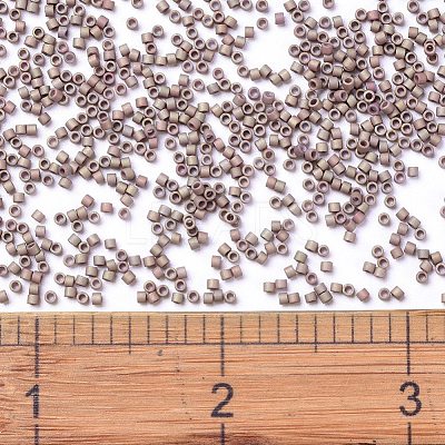 MIYUKI Delica Beads X-SEED-J020-DB1061-1