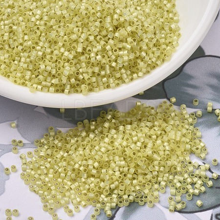 MIYUKI Delica Beads X-SEED-J020-DB0623-1