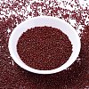 MIYUKI Delica Beads SEED-X0054-DB2120-3