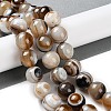 Natural Eye Agate Beads Strands G-NH0019-F02-02-2