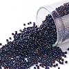 TOHO Round Seed Beads X-SEED-TR15-0082-1