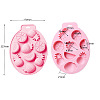 2Pcs Fruit Shape DIY Silicone Molds DIY-CJ0002-05-2