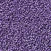 MIYUKI Delica Beads X-SEED-J020-DB1185-3