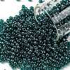 TOHO Round Seed Beads SEED-XTR08-0108BD-1