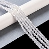 Natural White Jade Beads Strands G-K362-I04-01-2