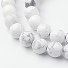 Natural Howlite Bead Strands G-G735-66-10mm-5