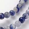 Natural Sodalite Beads Strands GSR4mmC013-4