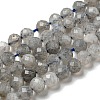 Faceted Round Natural Labradorite Bead Strands LS-G-I156-03-4mm-3