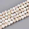 AB Color Natural Freshwater Shell Beads Strands BSHE-T014-40C-1