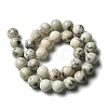 Natural Dendritic Jasper Beads Strands G-H298-A15-05-3