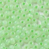 Glass Seed Beads X1-SEED-M011-02A-05-2