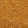 8/0 Glass Seed Beads X-SEED-A004-3mm-2-2